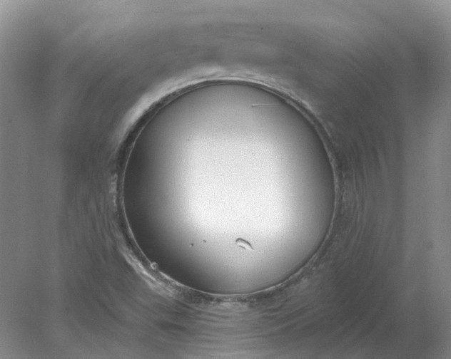 X0000078281503200611172043