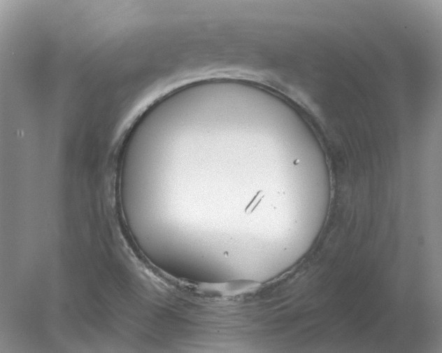 X0000078281504200611172043