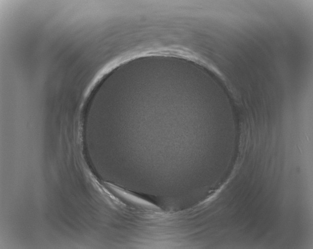 X0000078281506200611172043