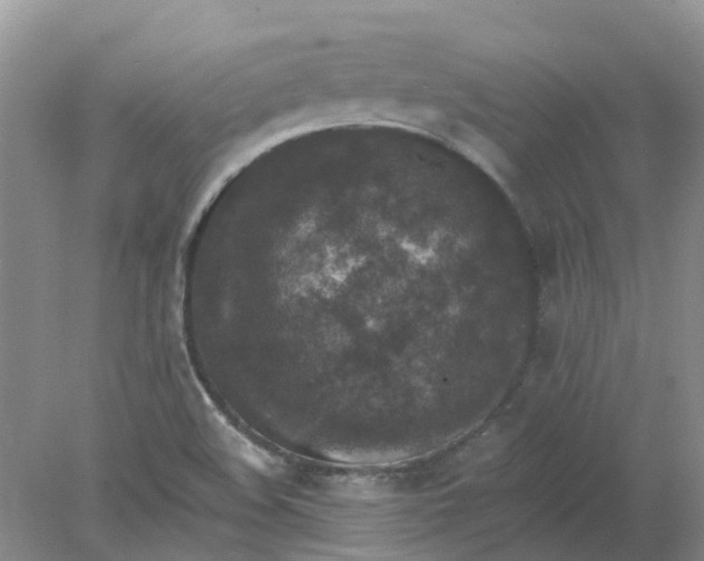 X0000078281508200611172043