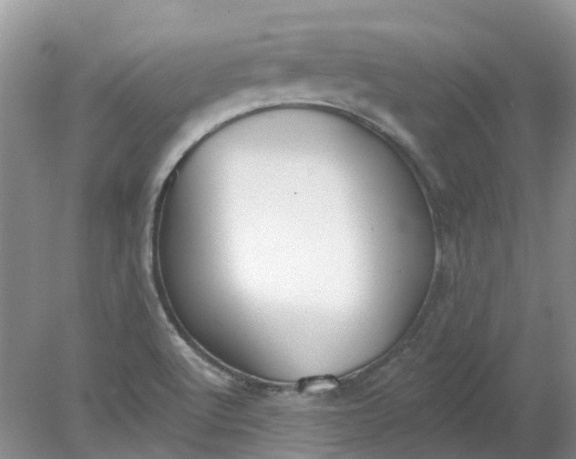 X0000078281512200611172043