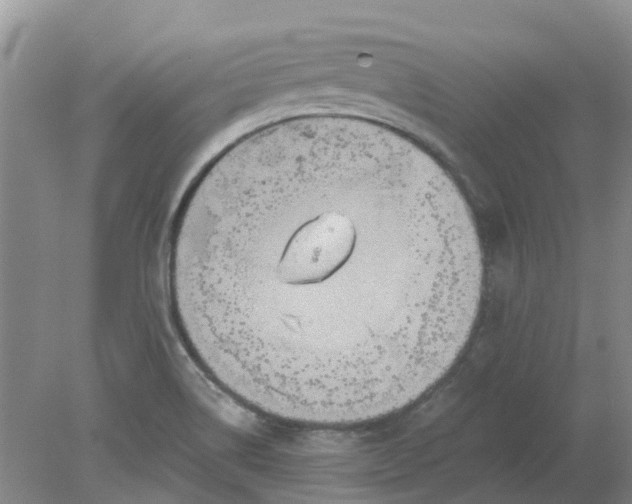 X0000078281514200611172043