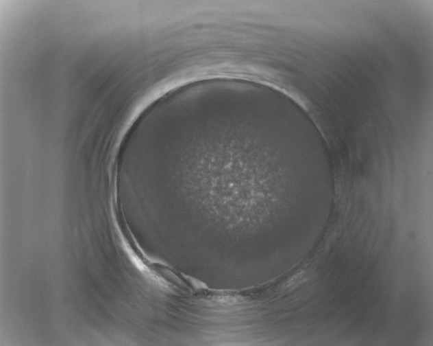 X0000078281515200611172043