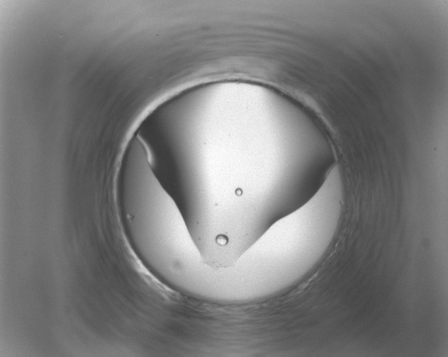 X0000078281516200611172043