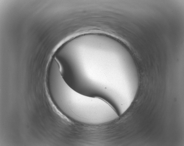 X0000078281518200611172043