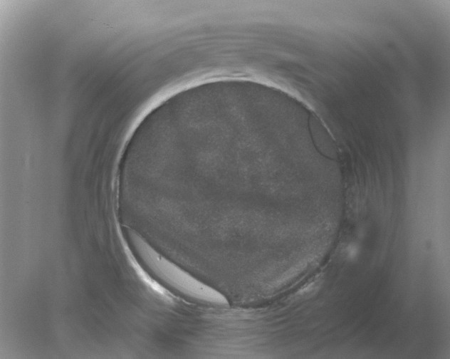 X0000078281519200611172043