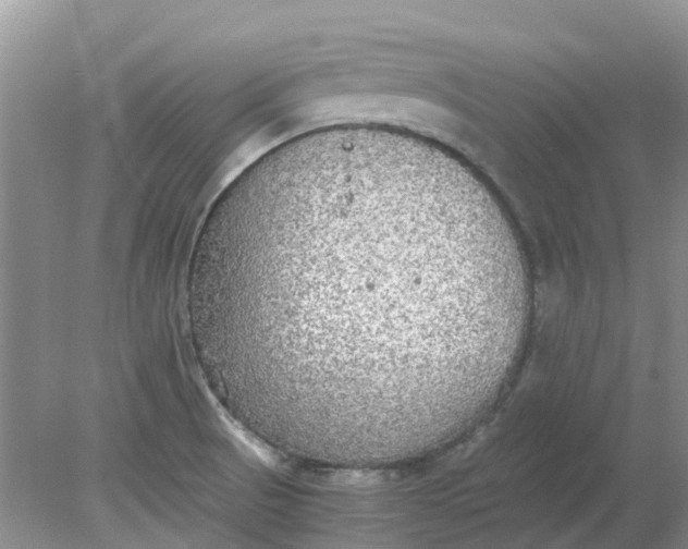 X0000078281521200611172043