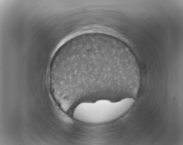 X0000078281522200611172043