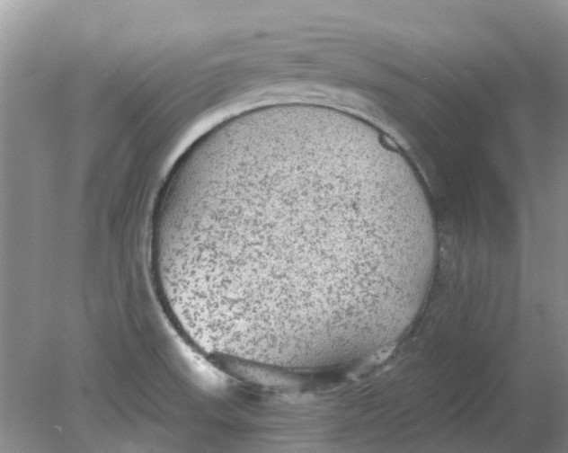 X0000078281523200611172043