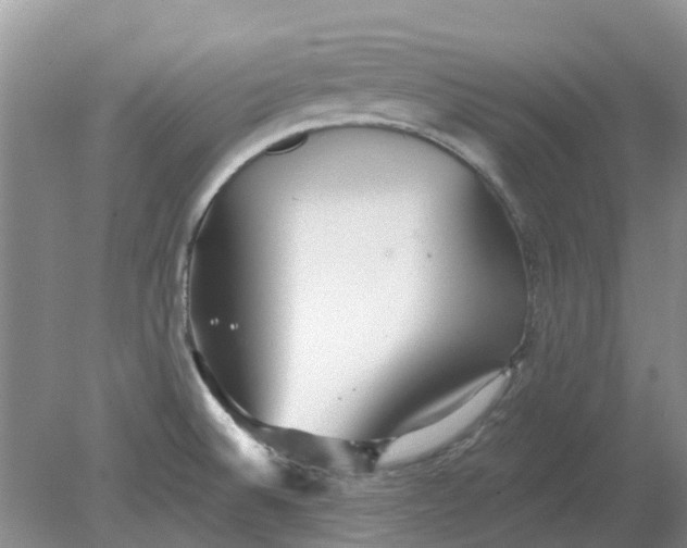 X0000078281524200611172043