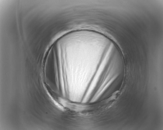 X0000078281525200611172043