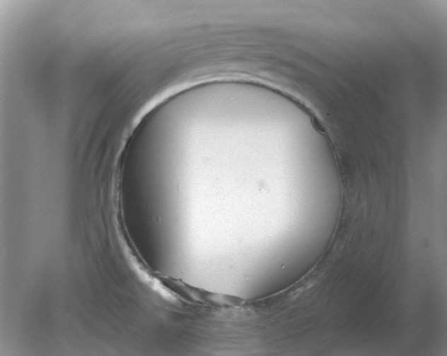 X0000078281526200611172043