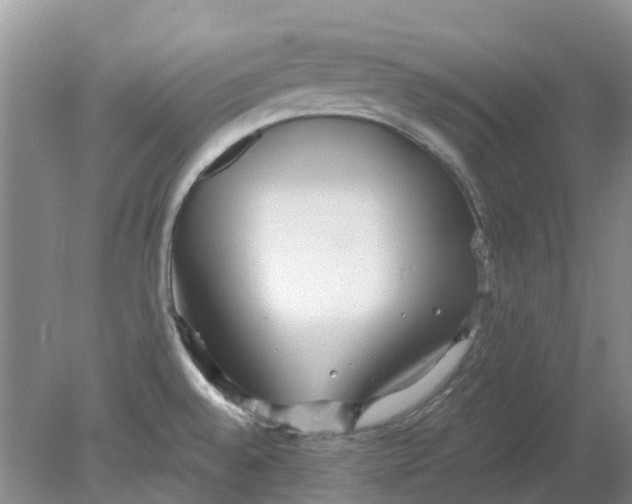 X0000078281528200611172043