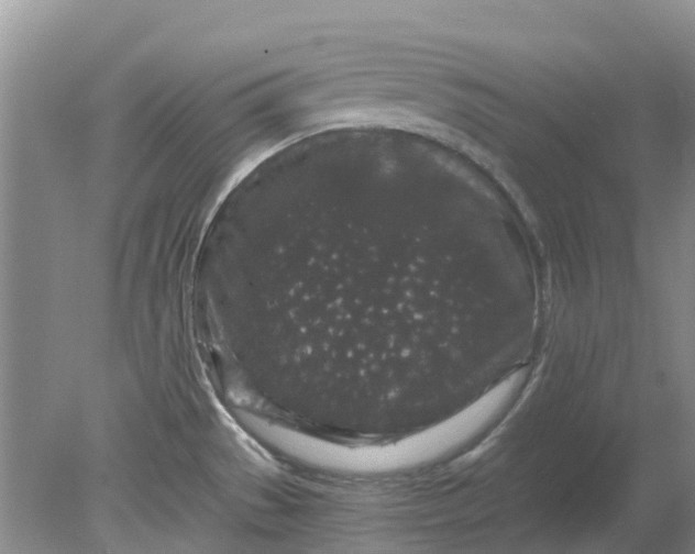 X0000078281529200611172043