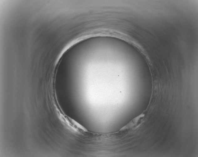 X0000078281530200611172043