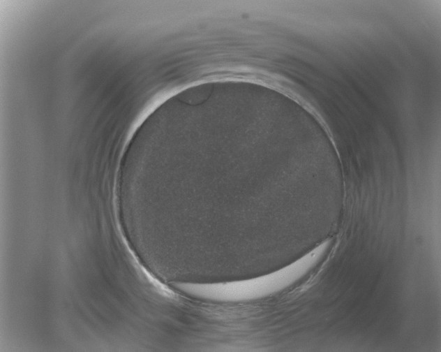 X0000078281533200611172043