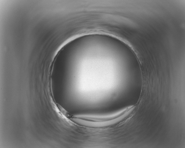 X0000078281534200611172043