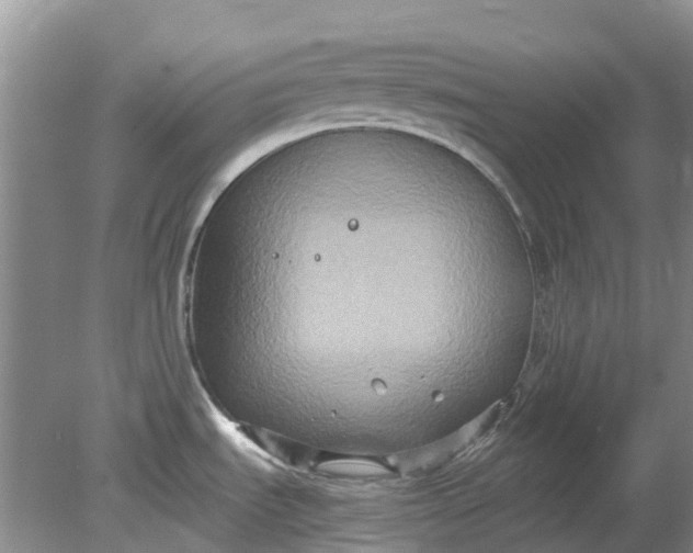 X0000078281535200611172043