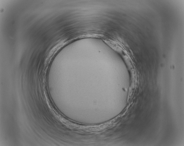 X0000078280001200611251430