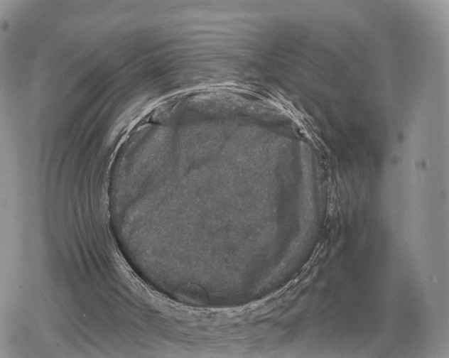 X0000078280002200611251430