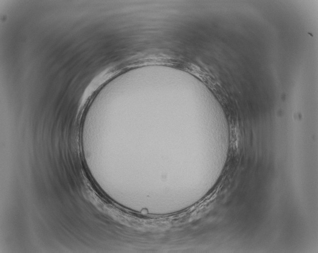 X0000078280004200611251430