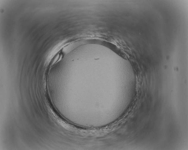 X0000078280005200611251430