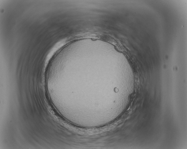 X0000078280006200611251430