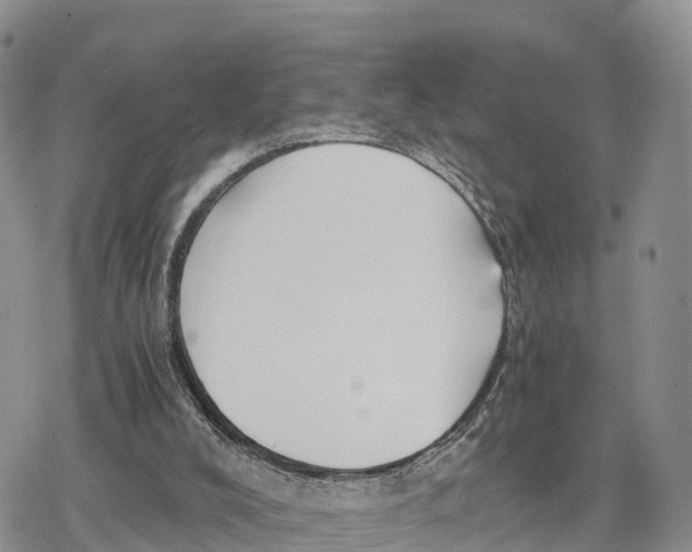 X0000078280008200611251430