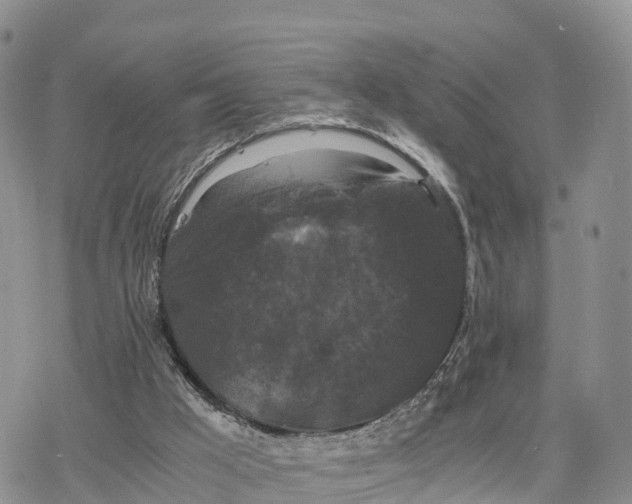 X0000078280009200611251430