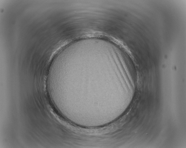 X0000078280010200611251430