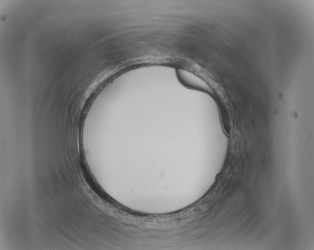 X0000078280011200611251429