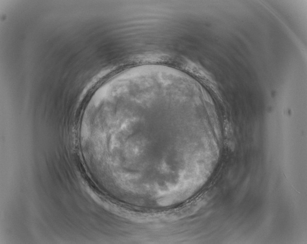 X0000078280012200611251429