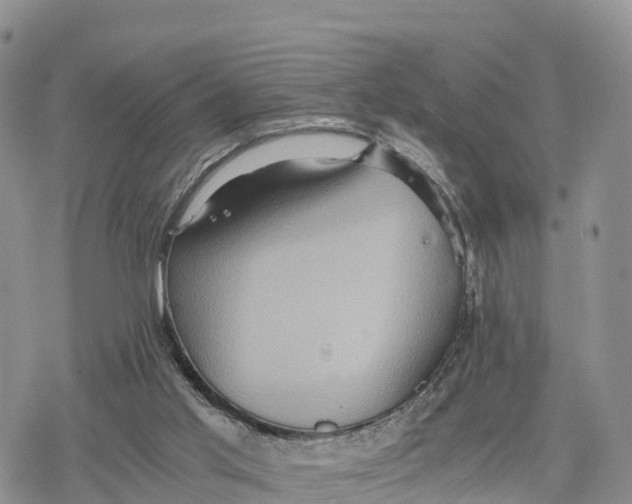 X0000078280013200611251429