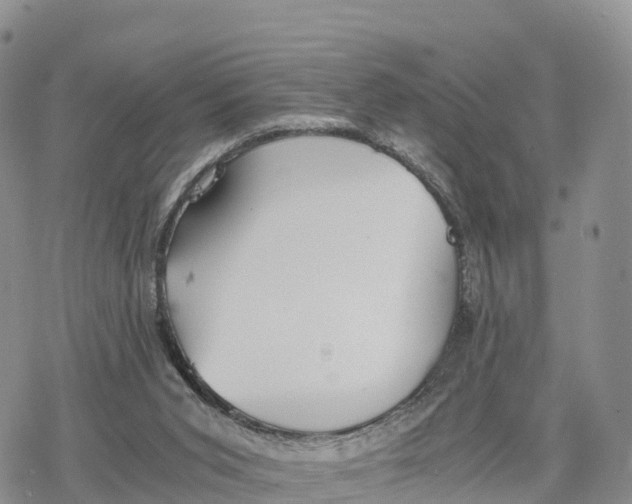 X0000078280015200611251429