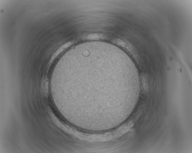 X0000078280016200611251429