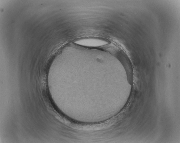 X0000078280017200611251429