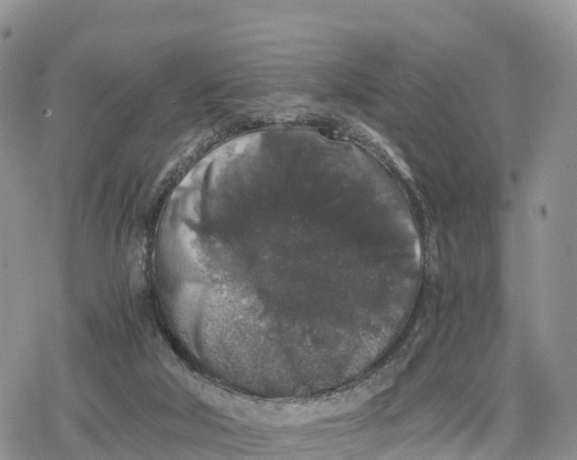 X0000078280018200611251429