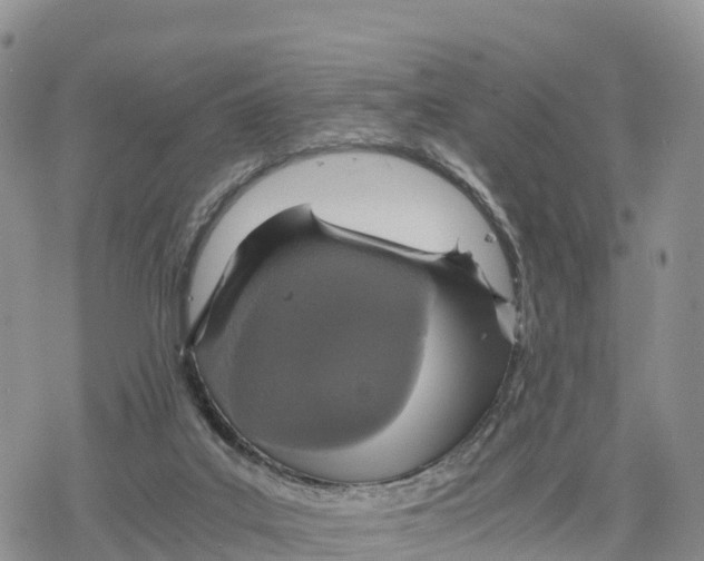 X0000078280019200611251429