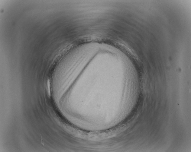 X0000078280022200611251429