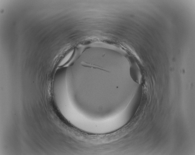 X0000078280023200611251429