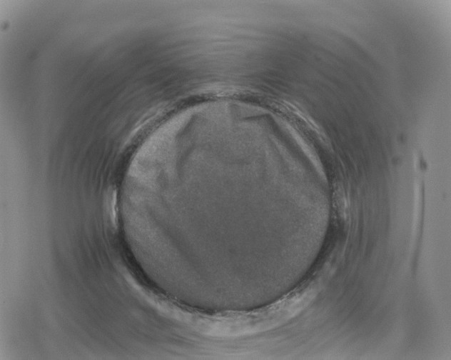 X0000078280024200611251429