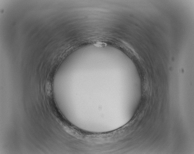 X0000078280025200611251429