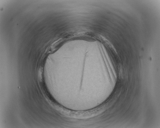 X0000078280026200611251429