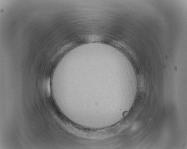 X0000078280028200611251429