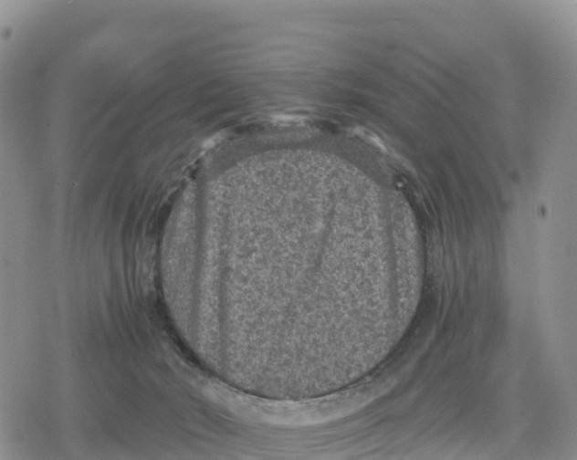 X0000078280030200611251429