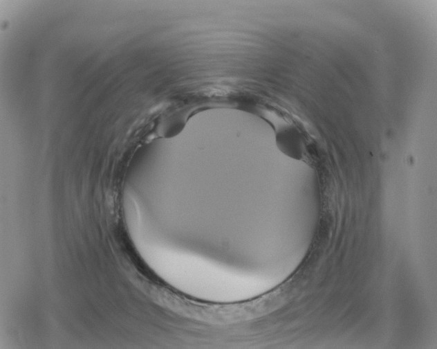 X0000078280031200611251429