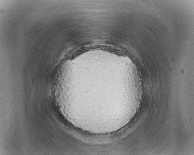 X0000078280032200611251429