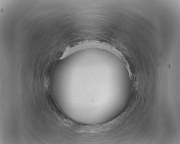 X0000078280033200611251429