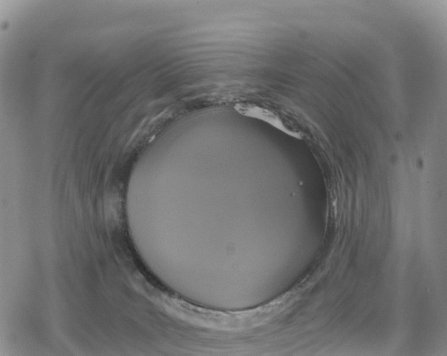 X0000078280035200611251429