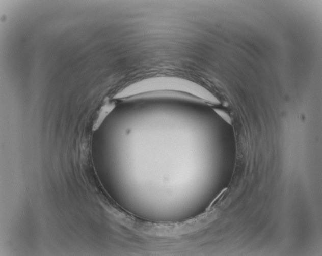 X0000078280037200611251429